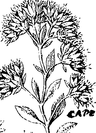 103/103590030002530_0.png