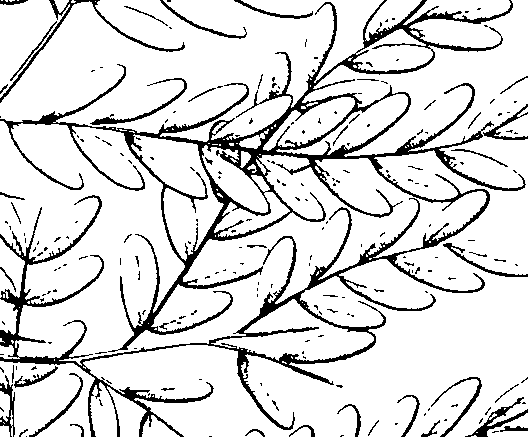 103/103590030002550_0.png
