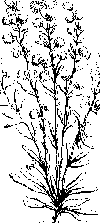 103/103590030002560_0.png