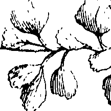 103/103590030002570_0.png