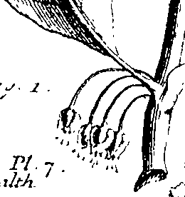 103/103590030002570_1.png