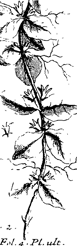103/103590030002570_2.png
