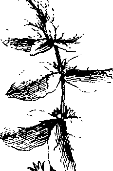 103/103590030002570_3.png