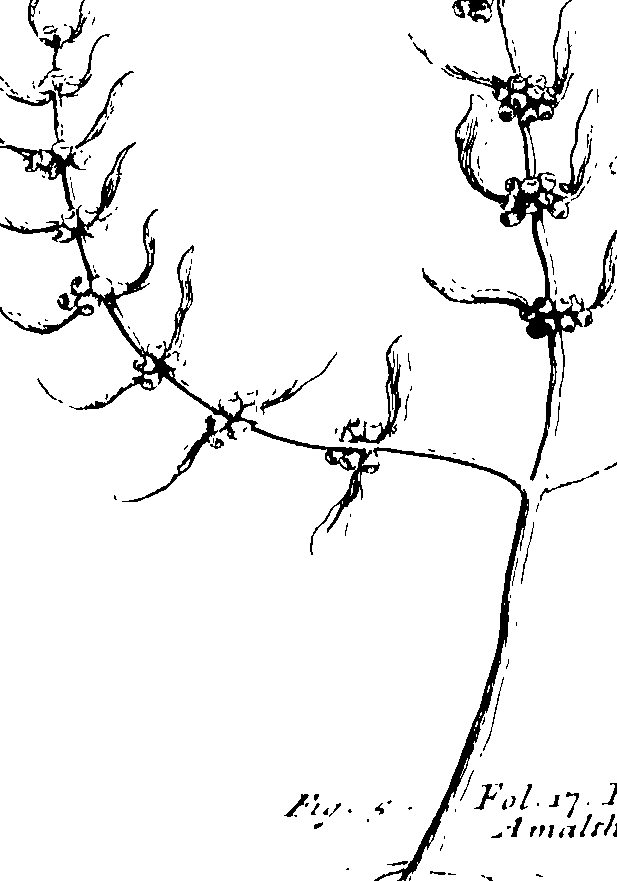 103/103590030002600_0.png