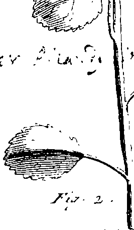 103/103590030002600_1.png