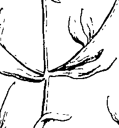 103/103590030002610_0.png