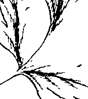 103/103590030002630_0.png