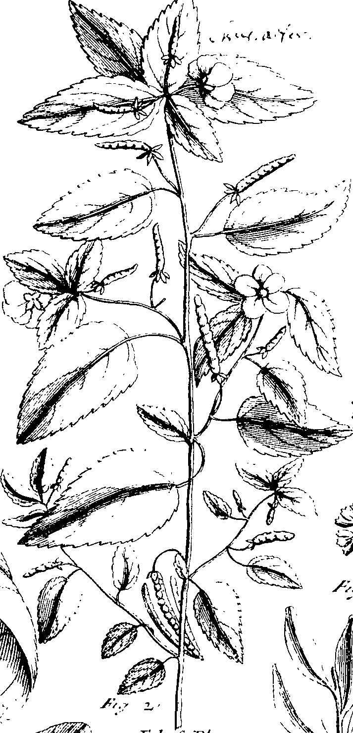 103/103590030002630_1.png