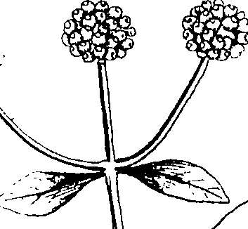 103/103590030002640_0.png