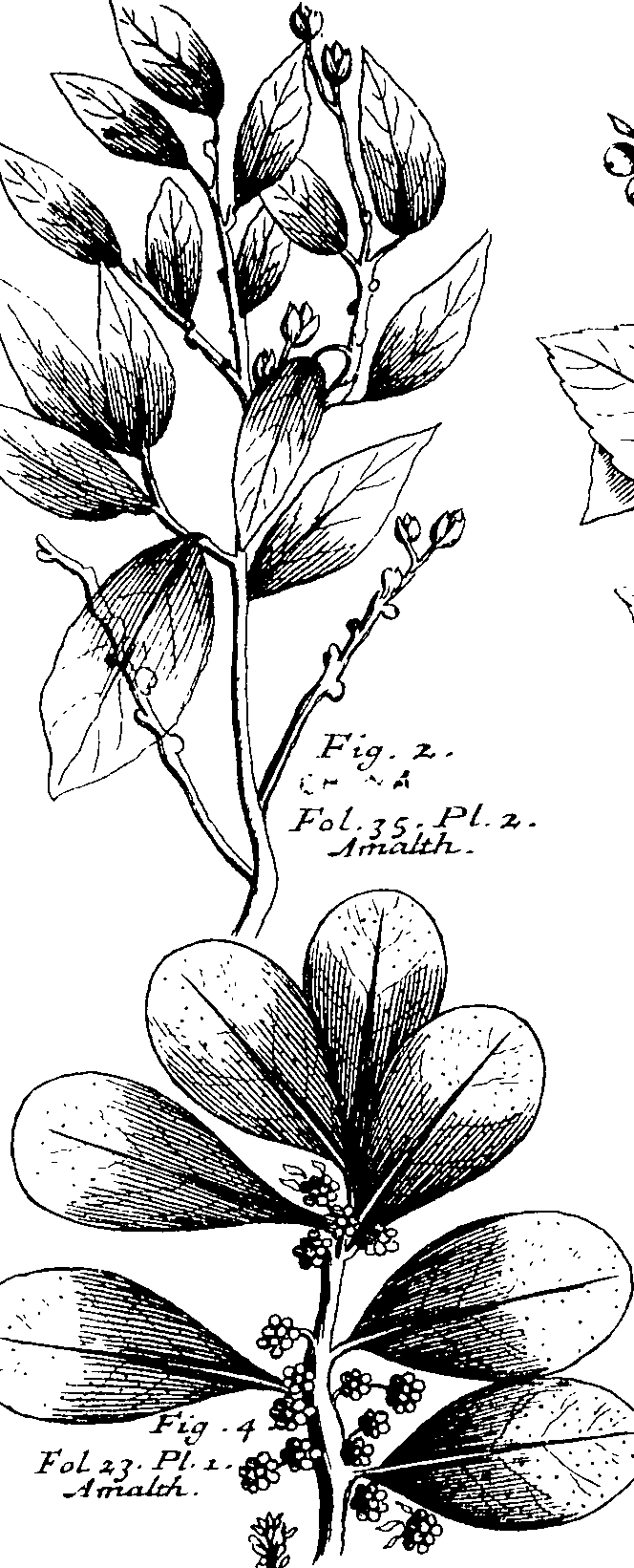 103/103590030002640_1.png