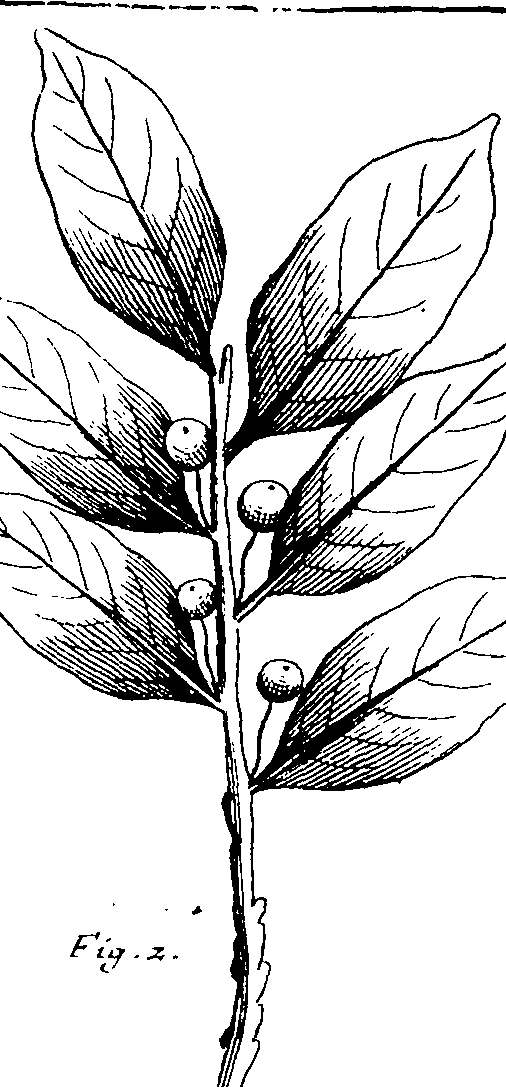 103/103590030002650_1.png