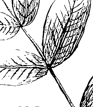103/103590030002660_0.png