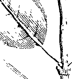 103/103590030002670_1.png