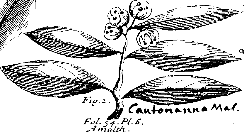 103/103590030002690_0.png