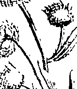 103/103590030002730_1.png