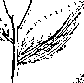 103/103590030002750_1.png