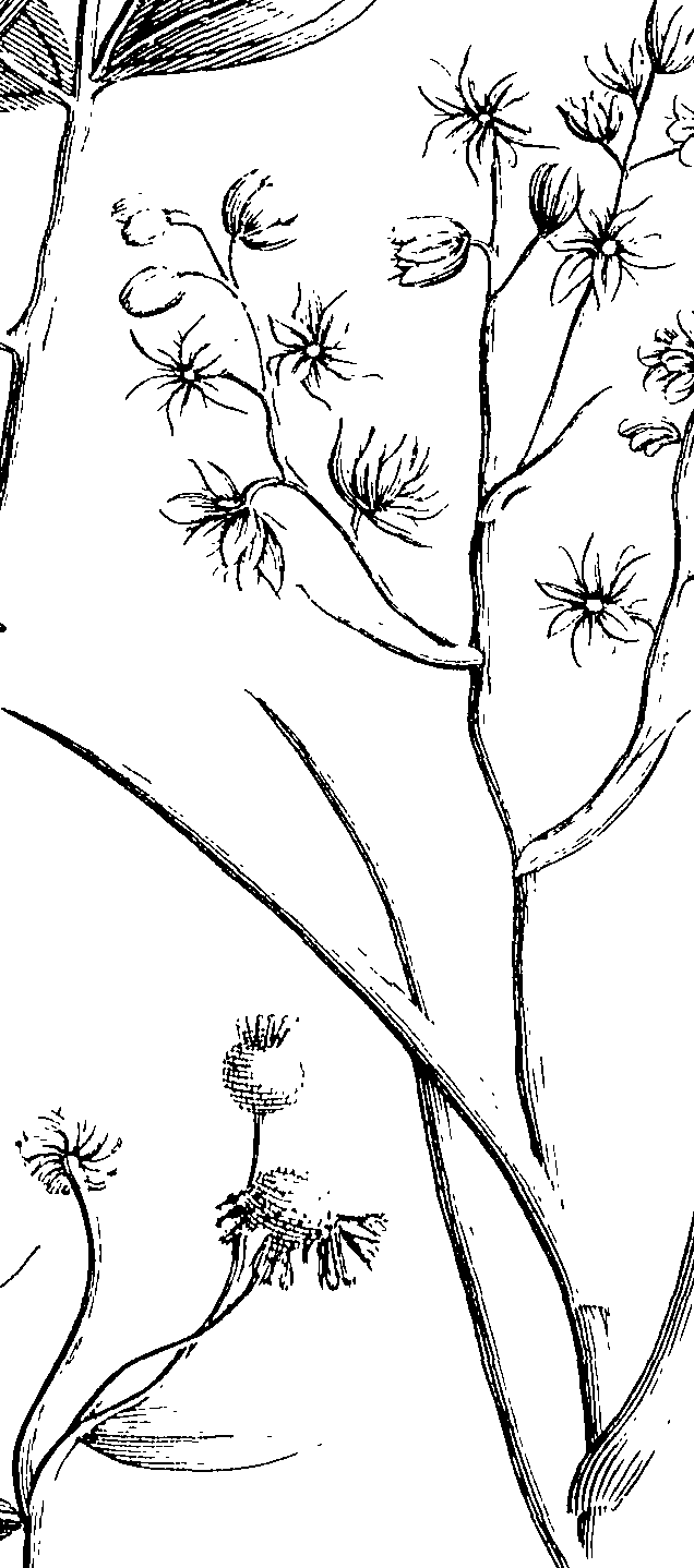 103/103590030002760_0.png