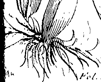 103/103590030002780_0.png