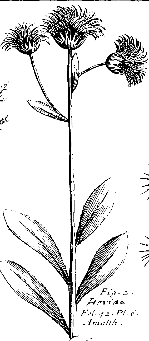 103/103590030002780_1.png