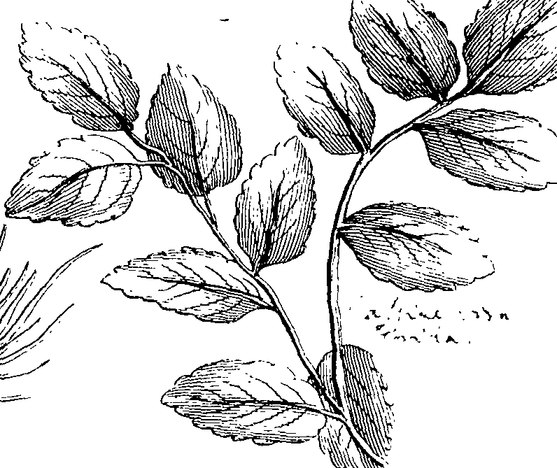 103/103590030002790_1.png