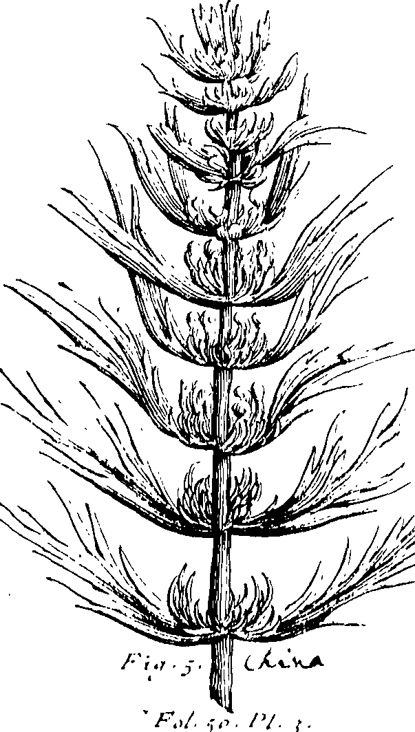 103/103590030002800_0.png