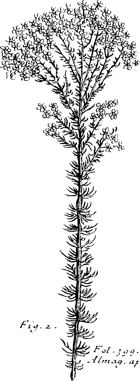 103/103590030002800_1.png