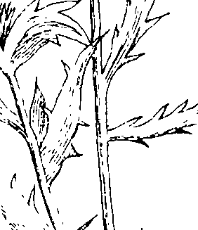 103/103590030002810_1.png