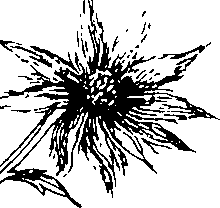 103/103590030002810_2.png
