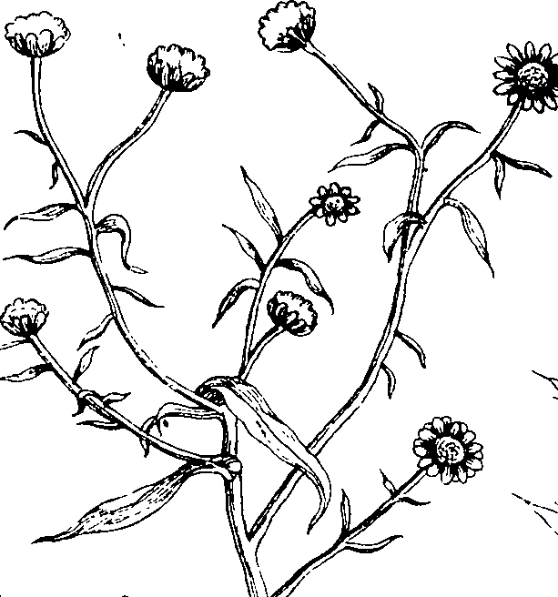 103/103590030002810_3.png