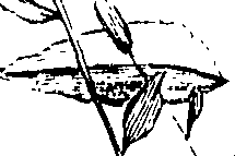 103/103590030002860_0.png