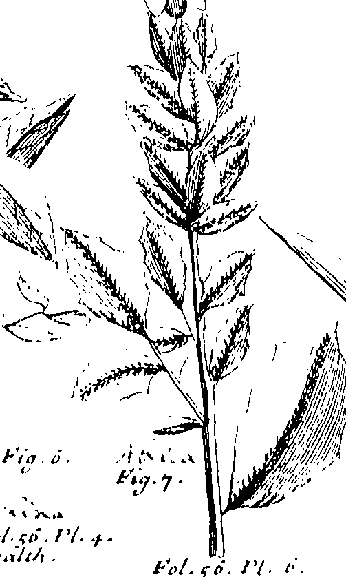 103/103590030002860_1.png