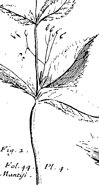103/103590030002860_2.png