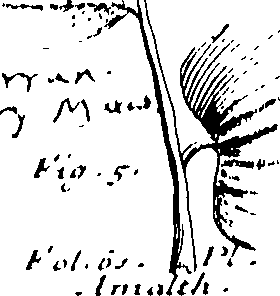 103/103590030002870_0.png