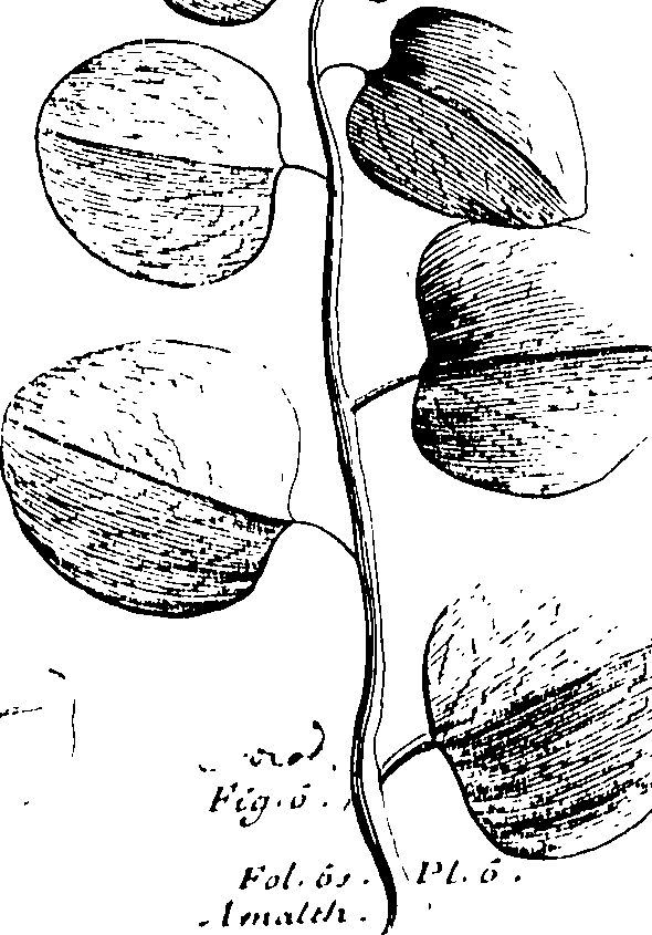103/103590030002870_1.png