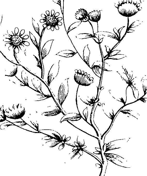 103/103590030002870_2.png