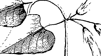 103/103590030002880_2.png