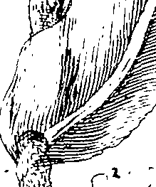 103/103590030002890_0.png
