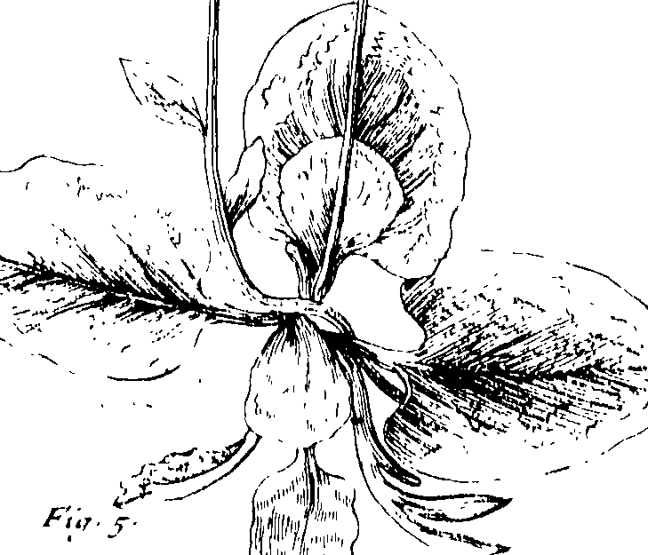 103/103590030002900_0.png