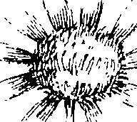 103/103590030002900_1.png
