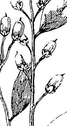 103/103590030002900_2.png