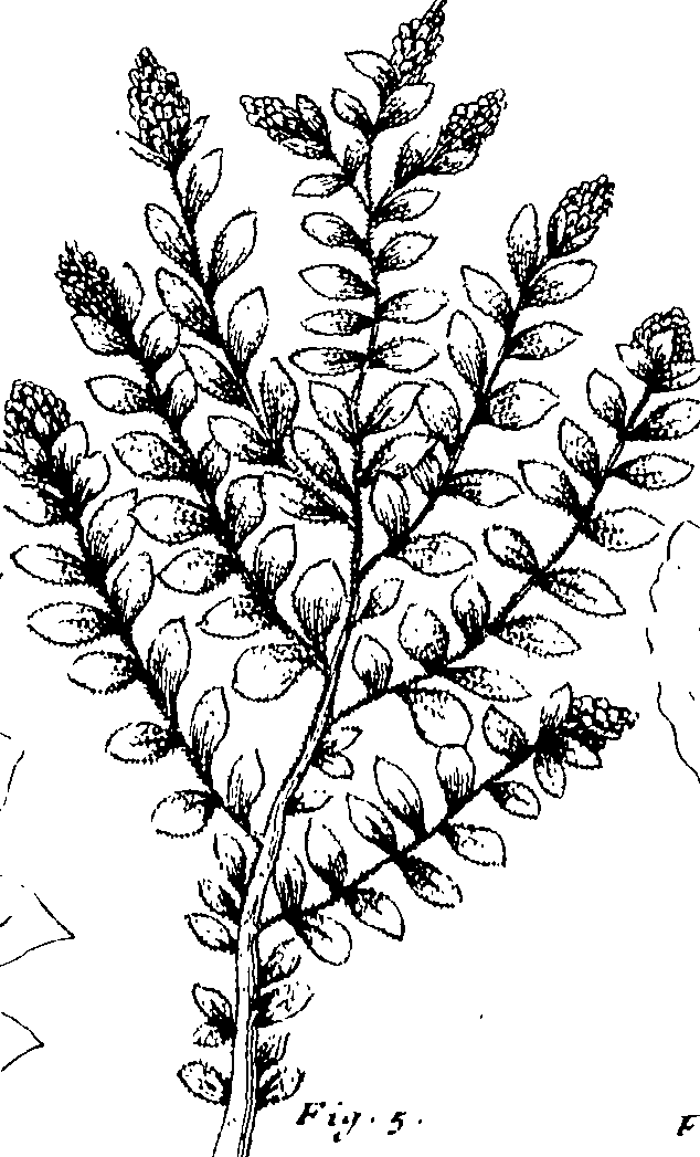 103/103590030002910_0.png