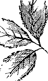 103/103590030002910_1.png