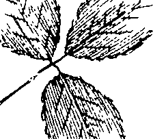 103/103590030002910_2.png