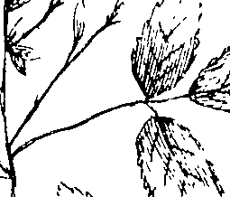 103/103590030002910_3.png
