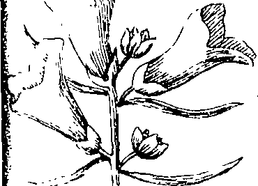 103/103590030002910_4.png