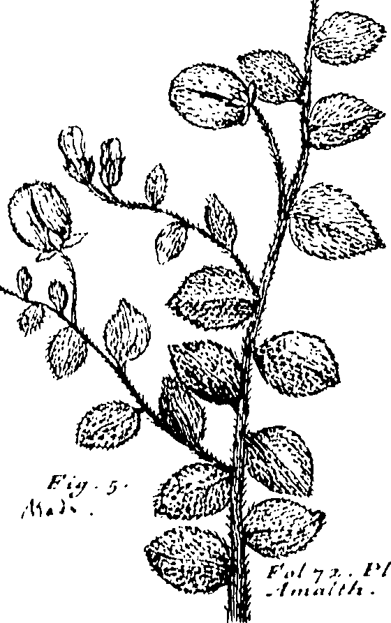 103/103590030002920_0.png