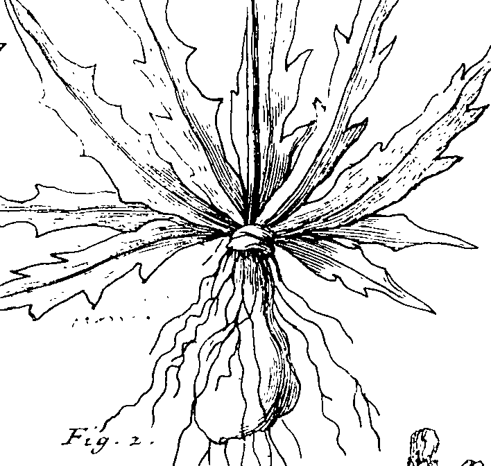 103/103590030002920_1.png