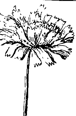 103/103590030002920_2.png