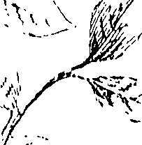 103/103590030002930_0.png
