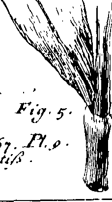 103/103590030002940_0.png